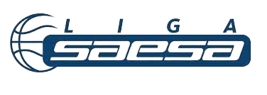 智利SAESA联赛