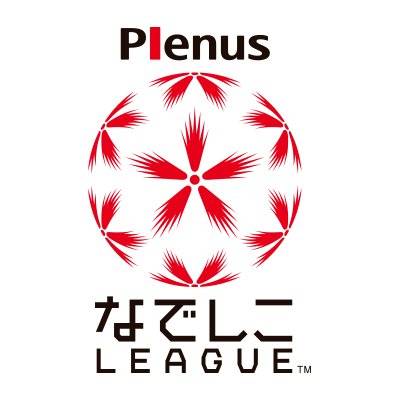 日本职业女子足球乙级联赛