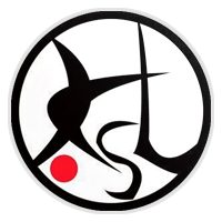 日本卫星联赛